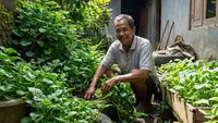 15 Tanaman Sayur Berumur Panjang dan Cocok untuk Lahan Sempit, Panen Sepanjang Tahun