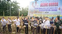 Menteri Pertanian Syahrul Yasin Limpo (Mentan SYL) melakukan panen perdana jagung hibrida musim tanam April di Desa Lanca.