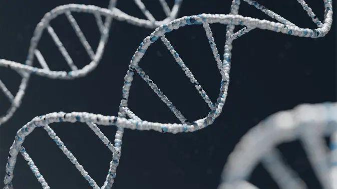 166 Tahun Berlalu, Identitas Awak Franklin Terungkap Lewat DNA