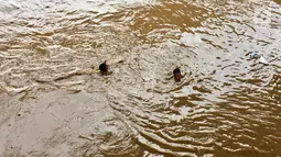 Pemandangan saat anak-anak berenang di derasnya arus Sungai Ciliwung, Rawajati, Jakarta, Selasa (6/2). Anak-anak tidak memperhatikan bahaya yang mengancam nyawa mereka. (Liputan6.com/Immanuel Antonius)