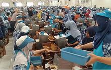Perbedaan Blue Collar, White Collar, dan Grey Collar