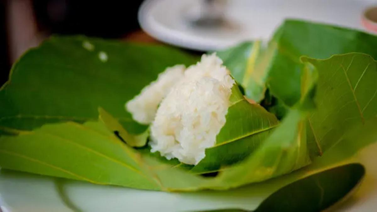 daun jati