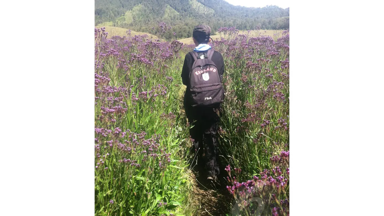 Menyusuri Eksotis Gunung Semeru 