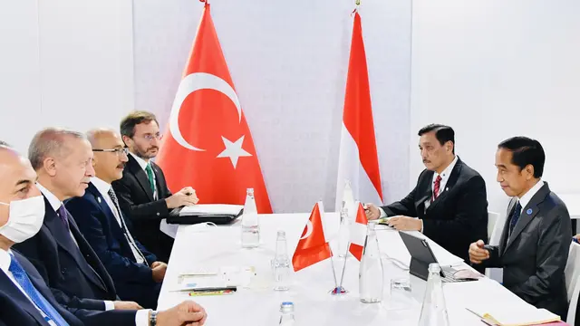 Jokowi dan Erdogan