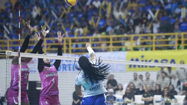PLN Mobile Proliga 2025