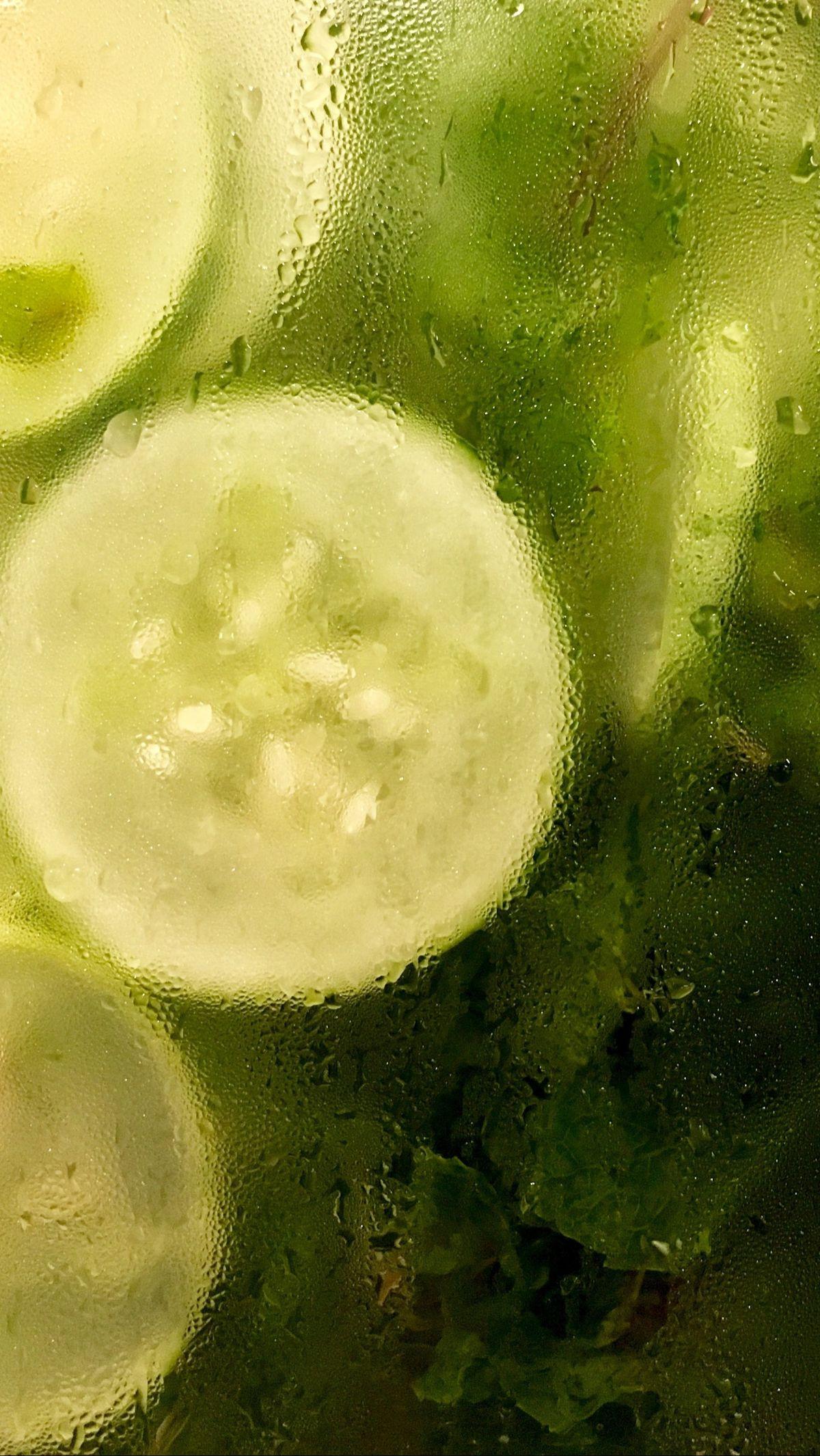 <b>Kehamilan merupakan periode yang memerlukan perhatian khusus terhadap pola makan agar ibu dan janinnya dapat memperoleh nutrisi yang cukup. Salah satu aspek penting dalam pola makan ibu hamil adalah konsumsi buah-buahan. Buah-buahan kaya akan serat, vi