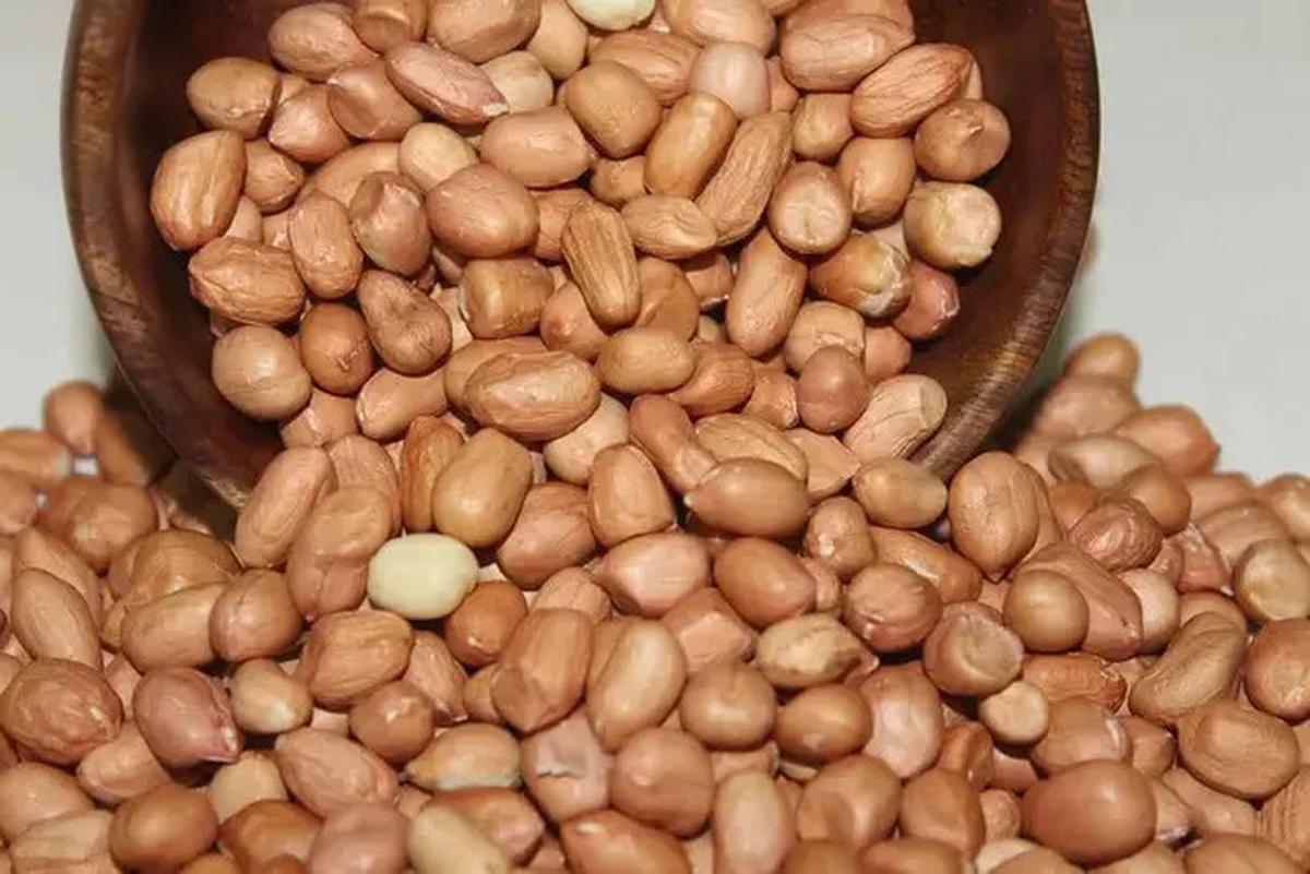 Tips Ampuh Goreng Kacang Tanah Anti Gosong, Hasilnya Gurih dan Matang Merata