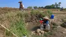 Warga mengambil air untuk kebutuhan sehari-hari pada kubangan bekas sawah di  kawasan Weninggalih, Jonggol, Jawa Barat, Selasa, 25 Agustus 2026. (KLY/ Arie Basuki)