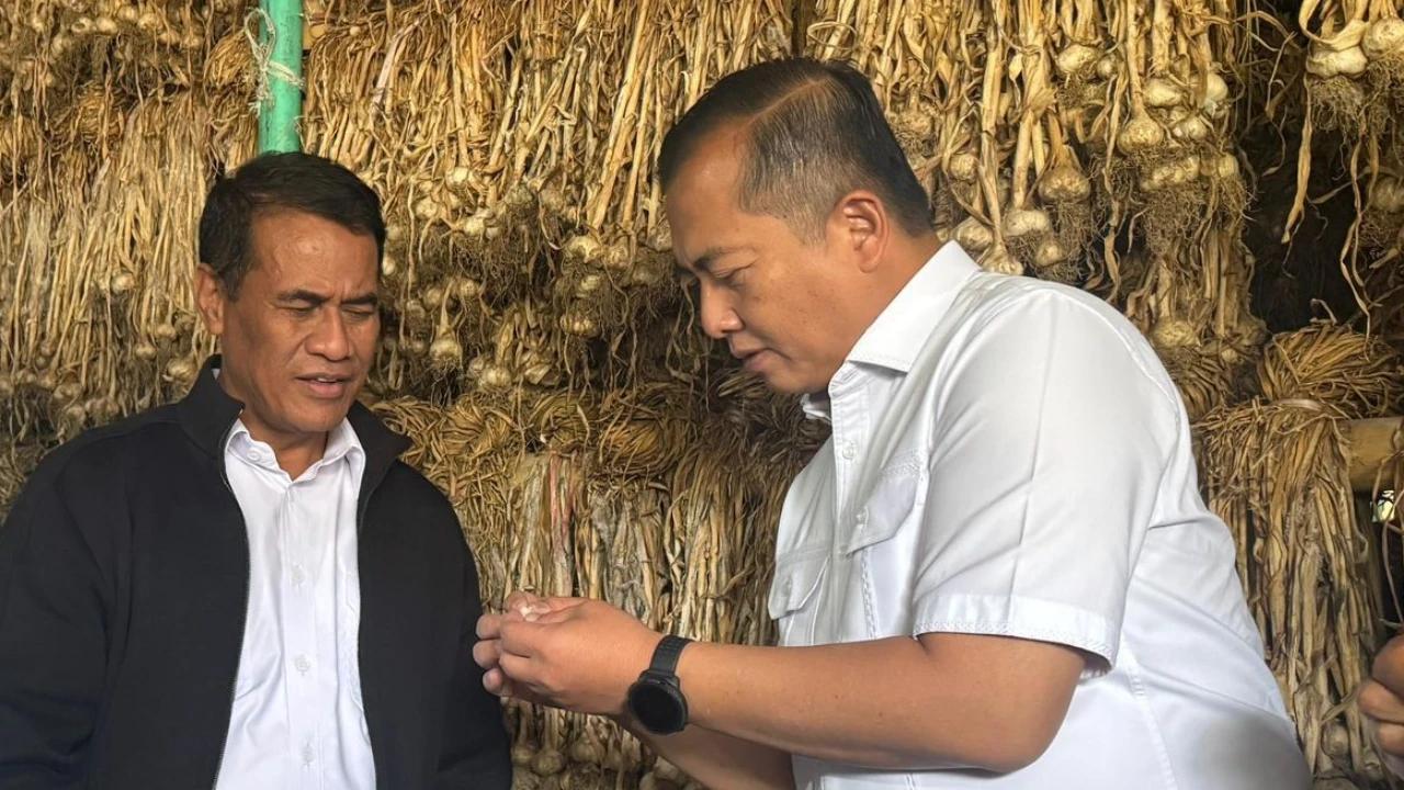 FOTO: NTB Diproyeksikan Jadi Pilar Jagung dan Bawang Putih Nasional