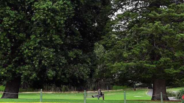 Sydney di Tengah Kemunculan Klaster Baru Kasus Covid-19