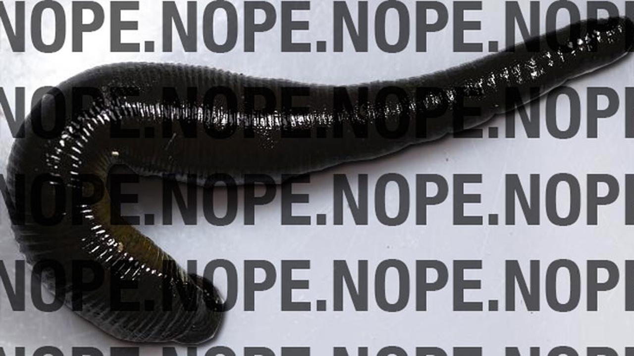 Lintah di Tenggorokan