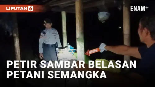 VIDEO: Sedang Berteduh, 12 Petani Semangka di Jembrana Bali Terkena Sambaran Petir