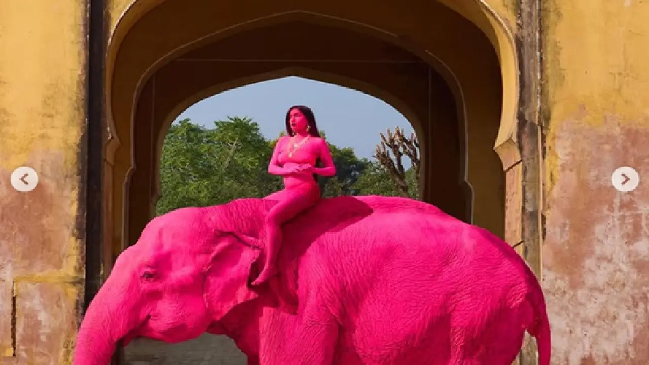 Kontroversi Kematian Gajah Pink di India yang Dihujat Aktivis, Fakta Sebenarnya Diungkap Dokter