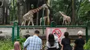 Pengunjung menyaksikan satwa di Kebun Binatang Ragunan, Jakarta, Selasa (1/4/2025). (merdeka.com/Arie Basuki)