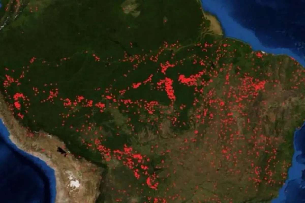 Kebakaran Hutan Amazon