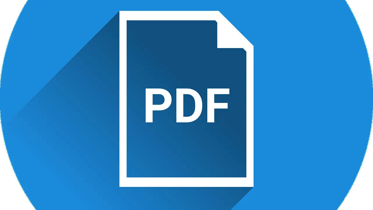 PDF