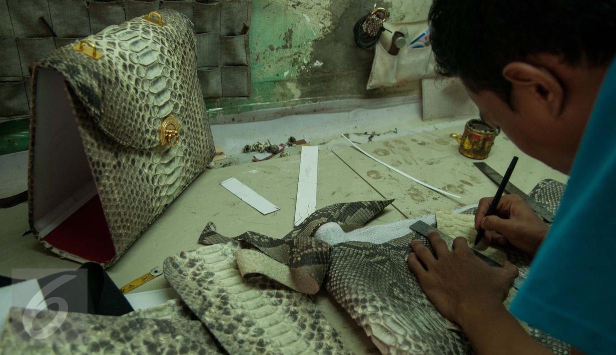 Pekerja menyelesaikan pembuatan produk berbahan dasar kulit ular di bengkel kerja, Cibitung, Jawa Barat, Jumat (24/3). Hasil produk berbahan dasar kulit ular tersebut telah di ekspor ke beberapa negara di Asean. (Liputan6.com/Gempur M Surya)