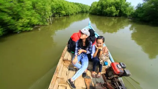 Keelokan Hutan Mangrove Karangsong Makin Diminati