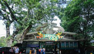 Kebun Binatang Bandung atau Bandung Zoo. (Liputan6.com/Arie Nugraha)
