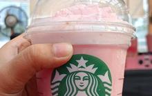 Saham Perusahaan Berhubungan dengan Israel Anjlok Parah, dari McDonald’s Hingga Starbucks