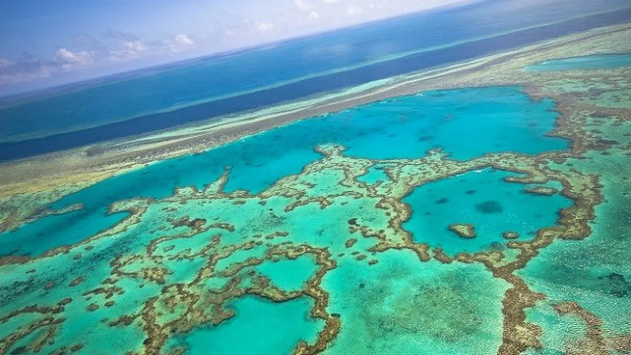 The Great Barrier Reef, Australia