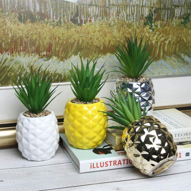 7 Pot Unik Anti Maintream Ini Bikin Tanaman Makin Hidup