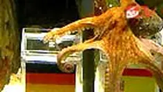 Masih ingat Paul "si gurita sakti"? Kali ini hewan laut tersebut membelot dari negara tempatnya menetap, dengan memilih Spanyol untuk melaju ke partai puncak Piala Dunia 2010. 