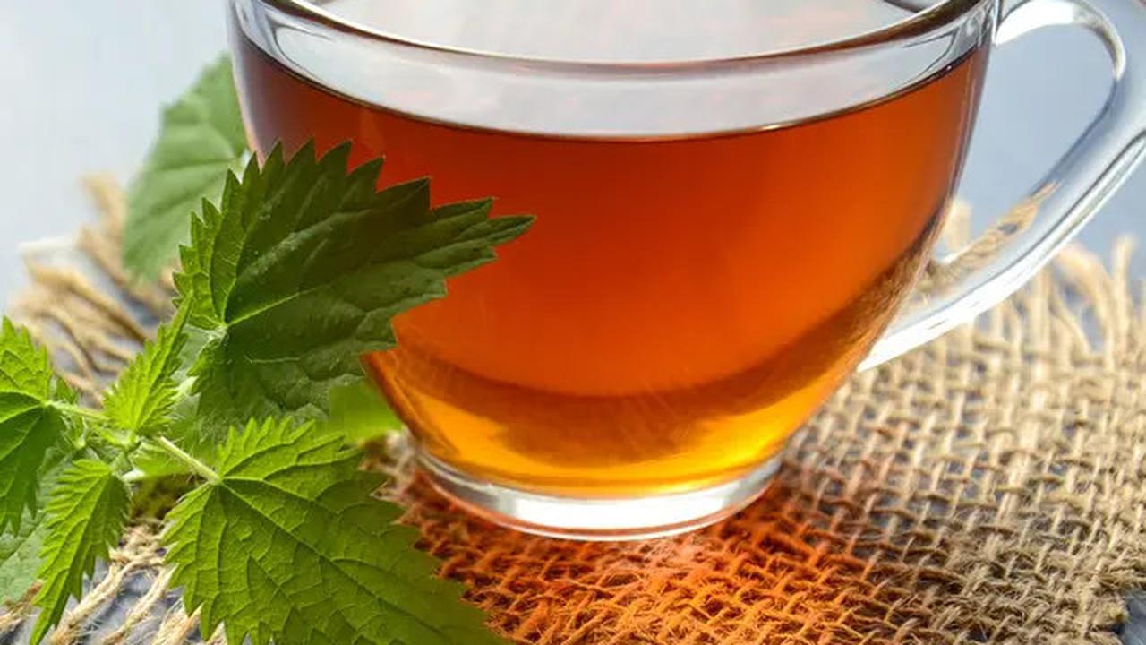 5 Rebusan Daun Ampuh Redakan Asam Lambung, Murah dan Mudah Dibuat