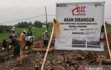 Kopdes Merah Putih Jadi Solusi Keterbatasan Lapangan Kerja, Sasar Milenial dan Gen Z