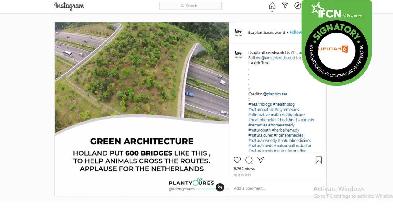 Hoaks jembatan penyeberangan untuk hewan di Belanda.