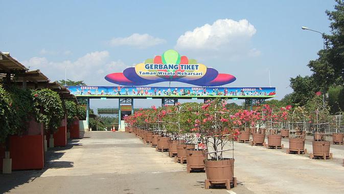 Wisata Taman Buah Mekarsari Jadi Pilihan Rekreasi Sekaligus Edukasi Hot Liputan6 Com