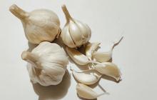 Cara Mengobati Kolesterol dengan Bawang Putih, Ketahui Cara Mengonsumsi dan Dosisnya
