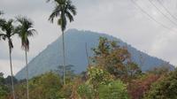 Gunung Tangkit Tebak. (Dok: Gunung Bagging&nbsp;https://www.gunungbagging.com/tebak/)