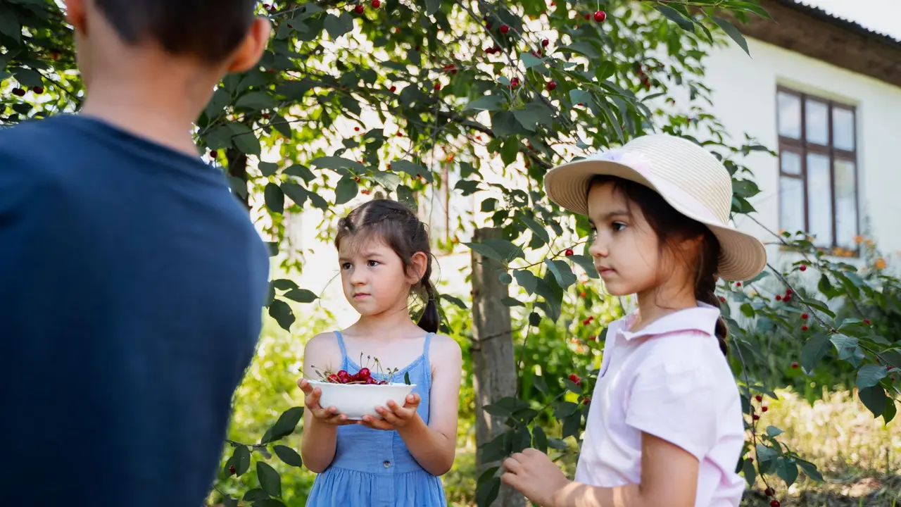 6 Tips Seru Menghabiskan Waktu Bersama Anak Saat Liburan di Rumah dengan Berkebun