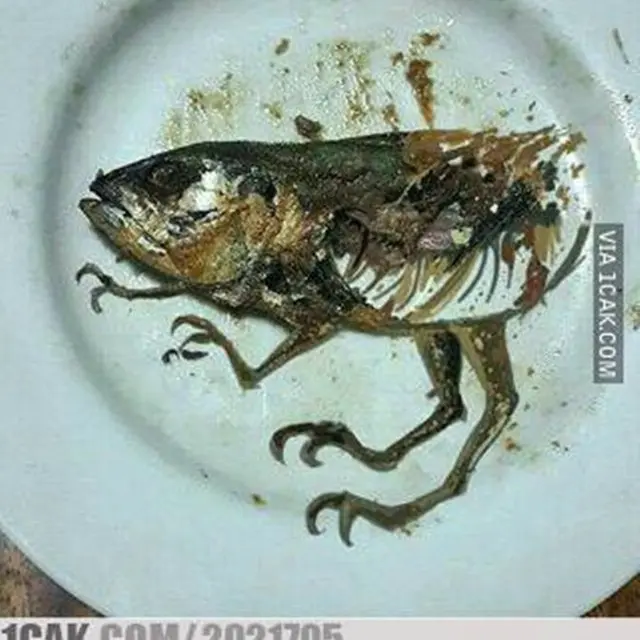 6 Potret Kepala Ikan Nyeleneh Ini Kaget Sebelum Dimakan