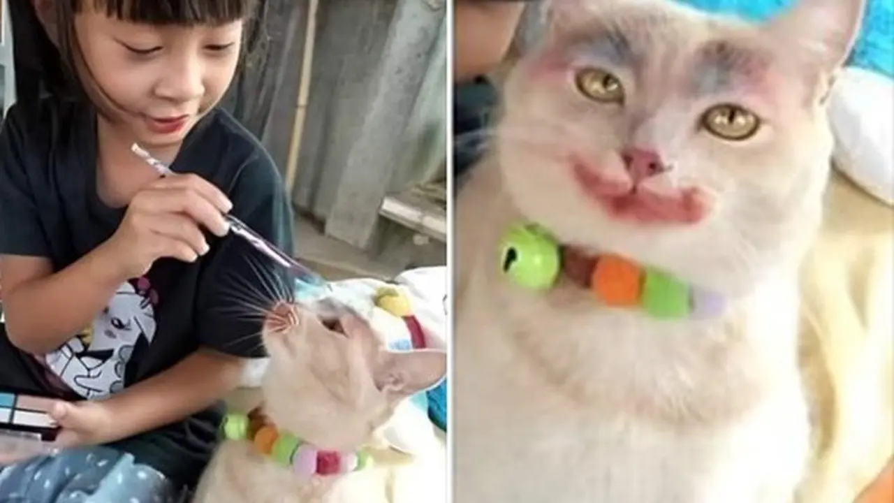 6 Potret Lucu Kucing Pakai Makeup, Wajahnya Pasrah dan Bikin Gemas