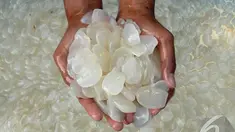 Para pengerajin kolangkaling merasakan berkah dari bulan Rhamadhan, Selasa (1/7/2014) (Liputan6.com/Miftahul Hayat)