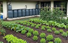7 Model Penampung Air Hujan untuk Rumah dengan Kebun Produktif