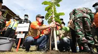 Upaya penguatan mitigasi bencana gempa bumi dan tsunami berbasis vegetasi di wilayah Pesisir Selatan Jawa Tengah, Kepala BNPB Doni Monardo menanam pohon Butun di Cilacap, Rabu, 28 April 2021. (Badan Nasional Penanggulangan Bencana/BNPB)