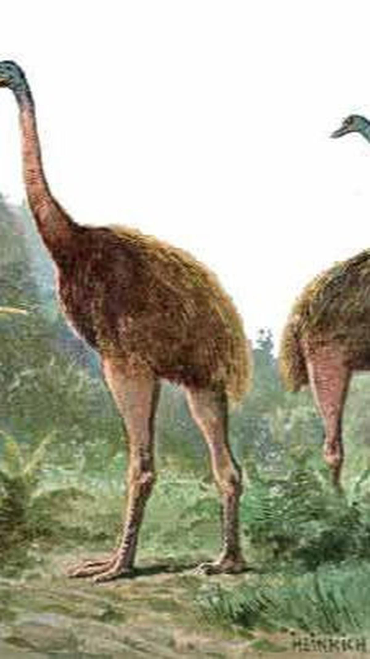 <b>Kutu Burung: Berusia 100 Juta Tahun</b><br>