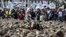 Peternak bersama ratusan domba saat unjuk rasa menentang kebijakan 'Plan Loup' di Kota Lyon, Prancis, (9/10). Peternak mengatakan tidak sedikit domba yang mati akibat diterkam serigala. (AFP Photo/Jean-Philippe Ksiazek)