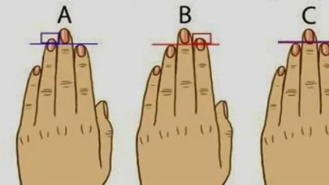 Kepribadian Berdasarkan Panjang Jari, Anda yang Mana?