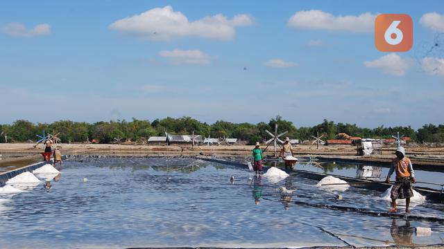 petani garam Madura