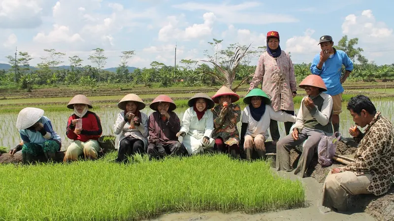 Petani berfoto di dederan benih siap tanam. (Foto: Liputan6.com/Muhamad Ridlo)