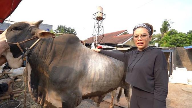 Nikita Mirzani dan sapi seberat 1,1 Ton. (Sumber: youtube.com/Crazy Nikmir REAL)