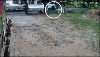 Detik-Detik Ban Truk Fuso Terlepas Hantam Pemotor yang Sedang Beli Es di Pinggir Jalan