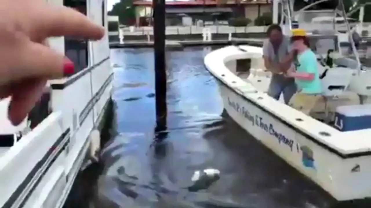 Memancing Ikan Malah Dapat Buaya