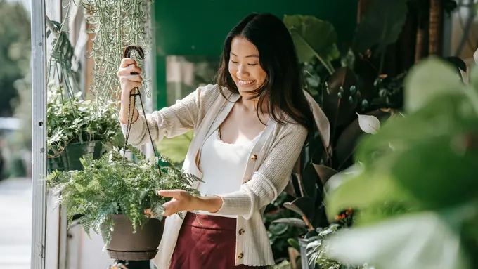 bercocok tanam merawat tanaman