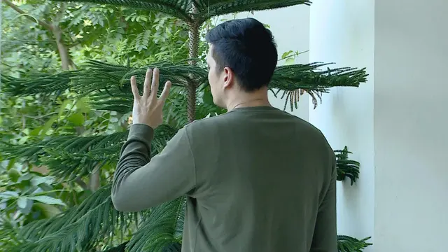 Istri Kedua