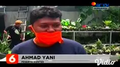 Di tengah pandemi Covid-19 berdampak pada tingginya animo masyarakat terhadap tanaman hias, khususnya sansivera. Terbukti saat ini, cukup sulit untuk mencari bibit tanaman sansivera yang bagus di pasaran.